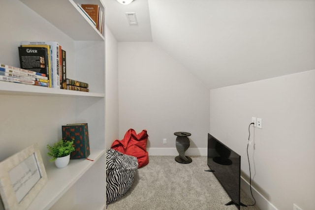 misc room featuring lofted ceiling and carpet floors