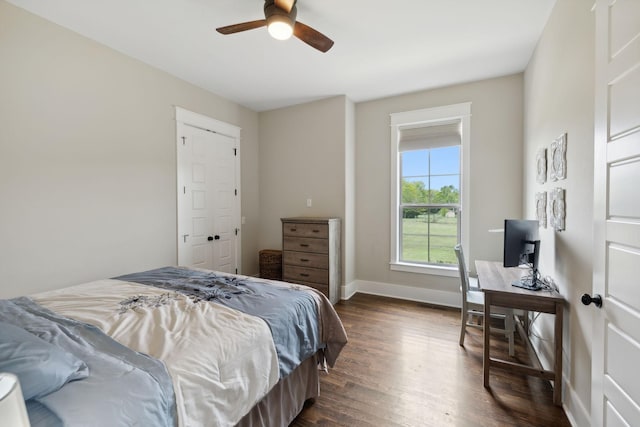 bedroom with a closet, ceiling fan, and dark wood-type flooring