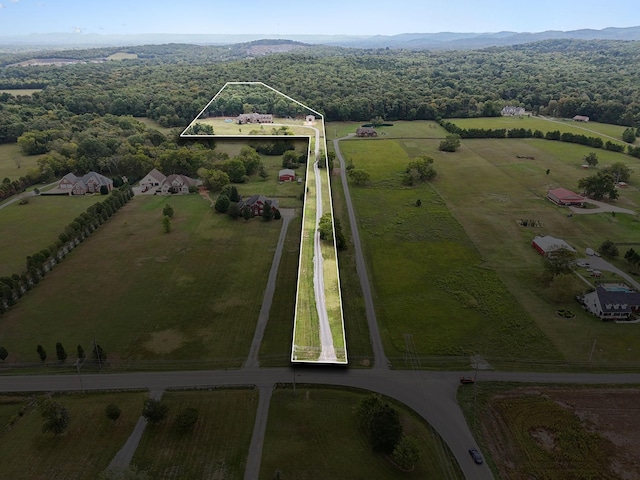 birds eye view of property with a mountain view and a rural view