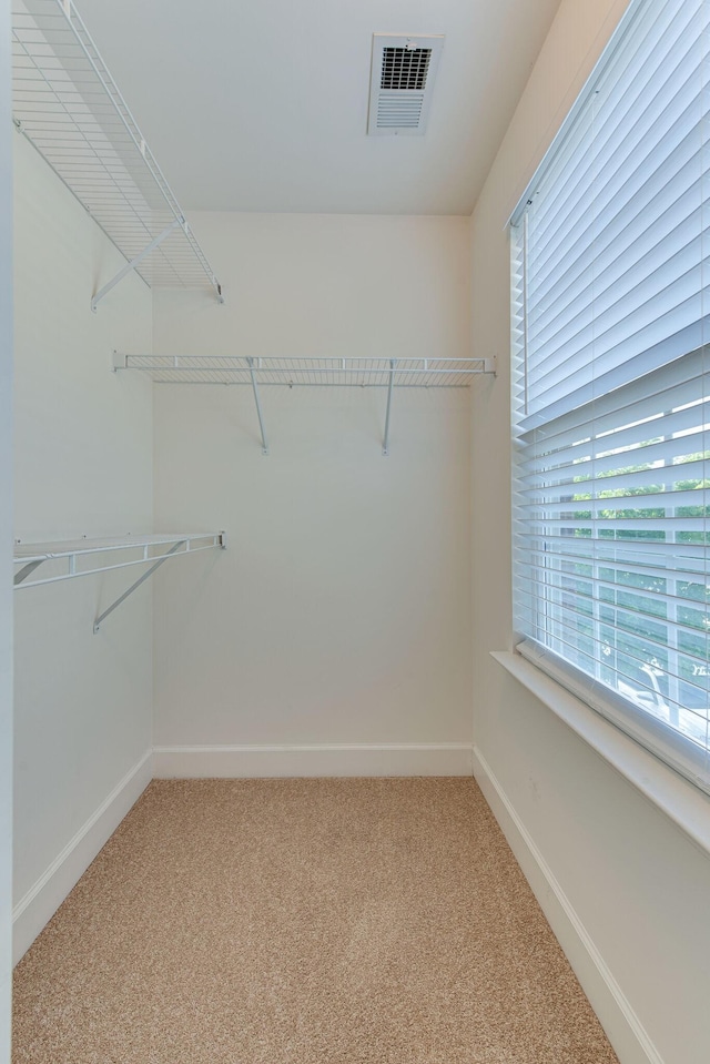 walk in closet featuring carpet