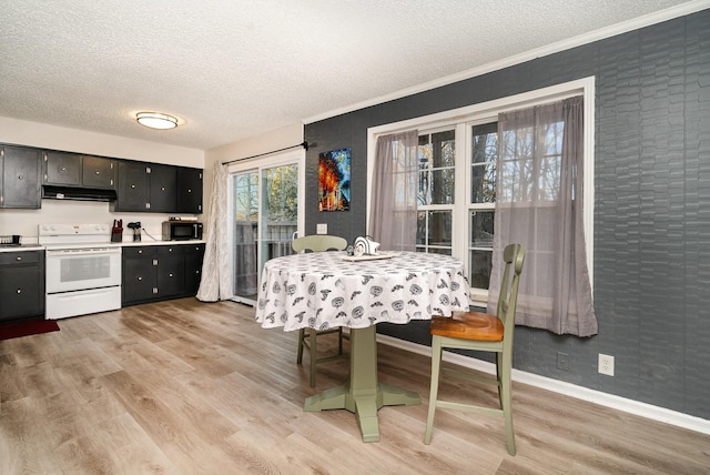 dining space with a textured ceiling, light hardwood / wood-style flooring, and crown molding