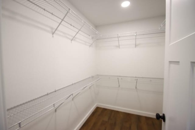 walk in closet with dark hardwood / wood-style floors