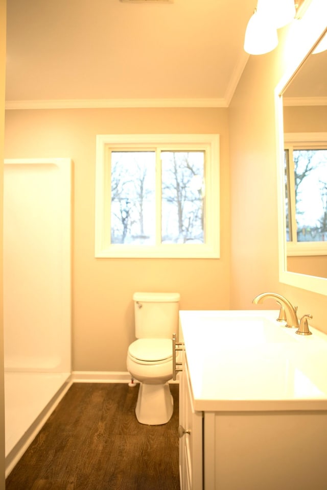 bathroom featuring vanity, toilet, wood-type flooring, and crown molding