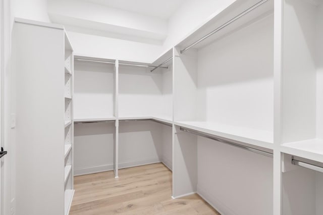 spacious closet featuring light wood-type flooring