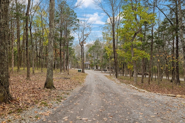 view of road