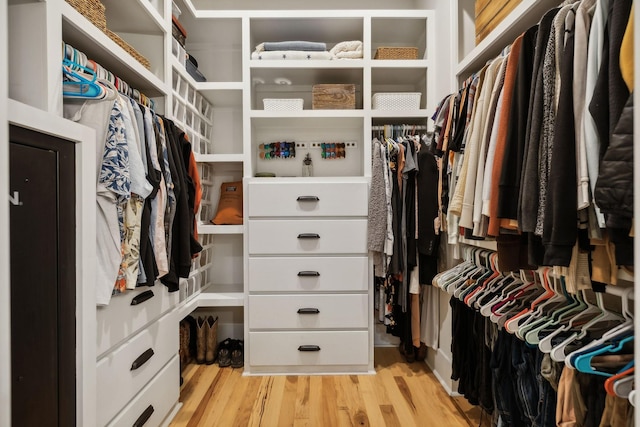 spacious closet featuring light hardwood / wood-style flooring