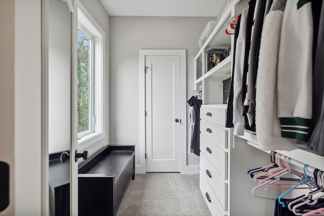 view of walk in closet