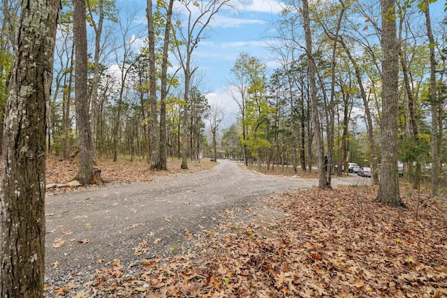 view of road