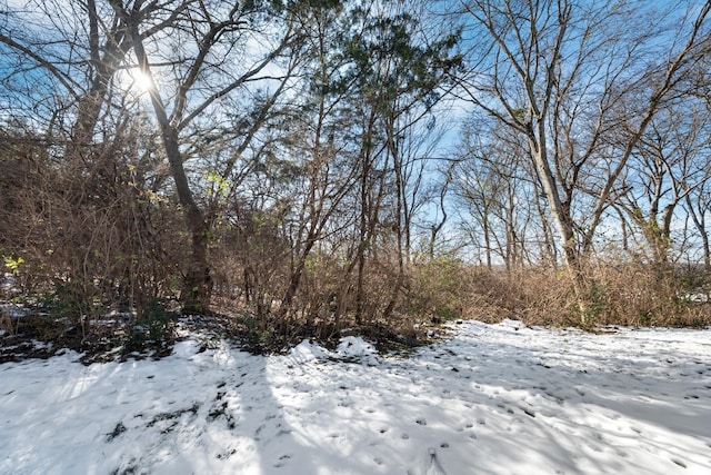 view of snowy landscape