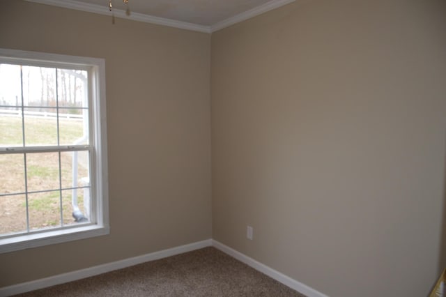 carpeted spare room with plenty of natural light and crown molding