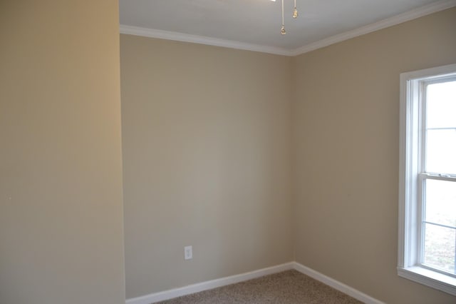 carpeted empty room with a wealth of natural light and ornamental molding