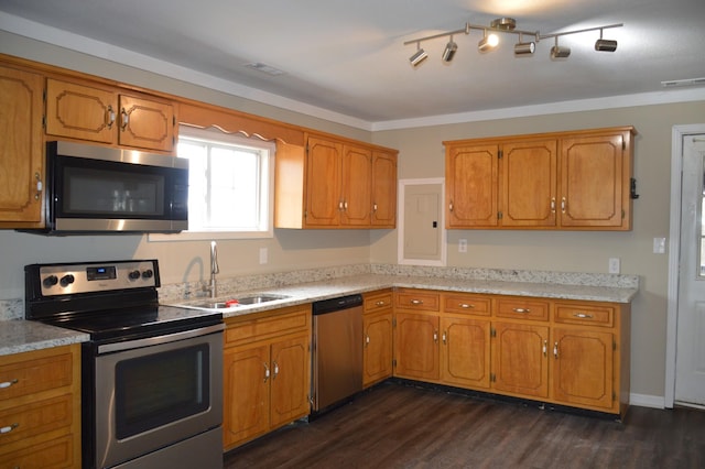 kitchen with sink, stainless steel appliances, and dark wood-type flooring