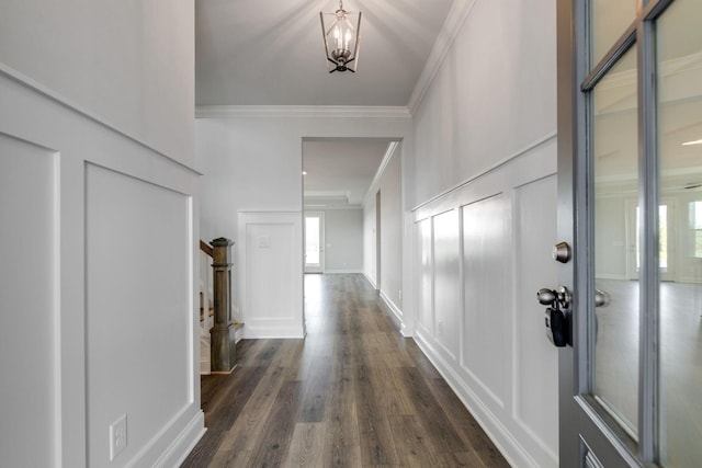 hall featuring a chandelier, crown molding, and dark wood-type flooring