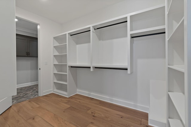 walk in closet with wood-type flooring