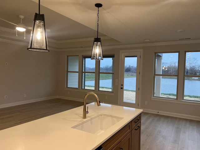 kitchen with a wealth of natural light, sink, decorative light fixtures, a water view, and dark hardwood / wood-style floors