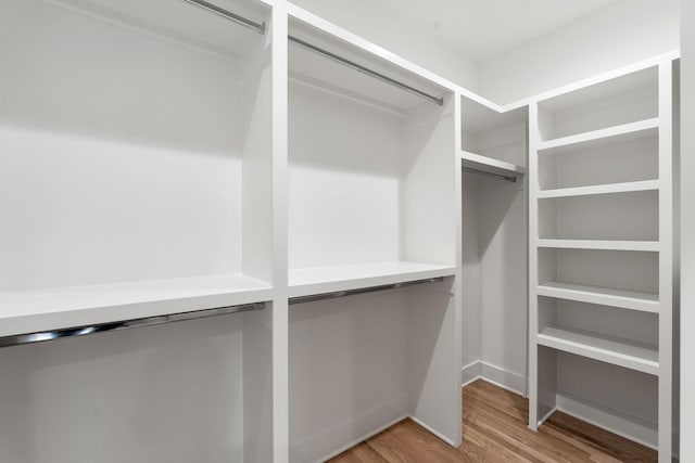 walk in closet featuring wood-type flooring