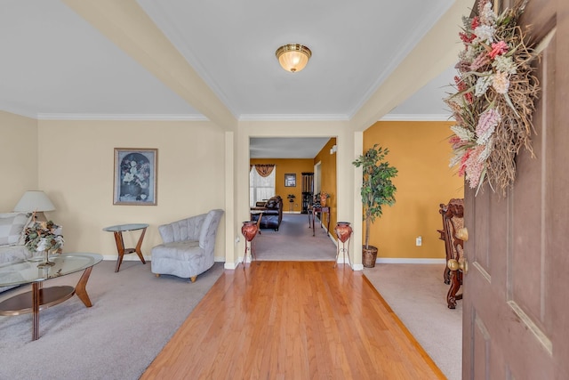 foyer entrance featuring carpet and ornamental molding