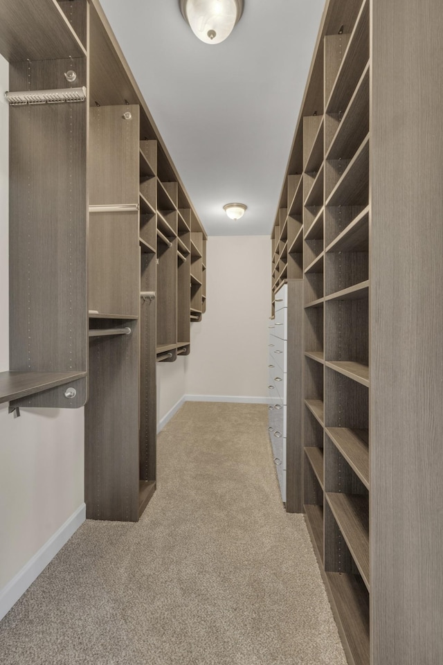 walk in closet featuring carpet floors