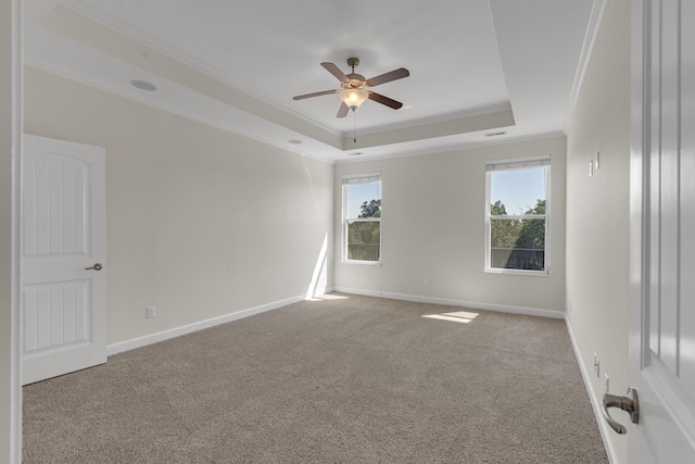 spare room with a raised ceiling, ceiling fan, light colored carpet, and ornamental molding