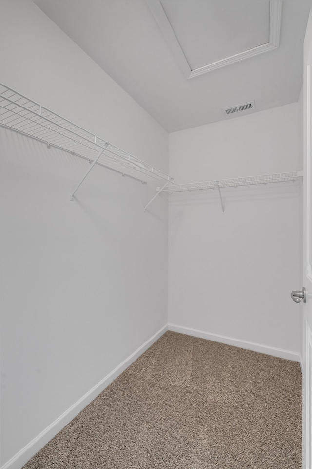 spacious closet with carpet floors