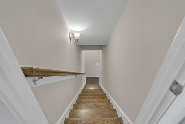 staircase with hardwood / wood-style floors