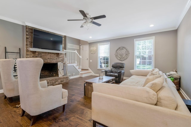 living room with ceiling fan, a healthy amount of sunlight, ornamental molding, and dark wood-type flooring