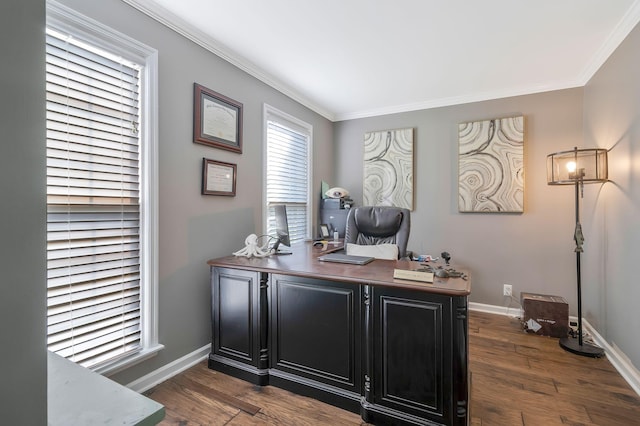 office featuring dark hardwood / wood-style flooring and crown molding