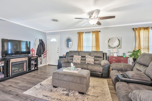 living room featuring a fireplace, dark hardwood / wood-style flooring, ceiling fan, and crown molding