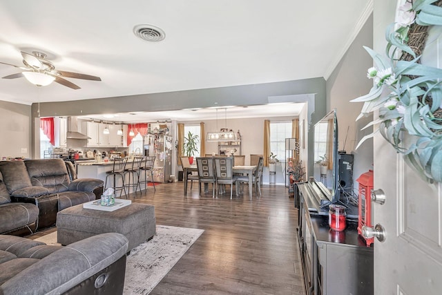 living room with dark hardwood / wood-style flooring, ceiling fan, and crown molding