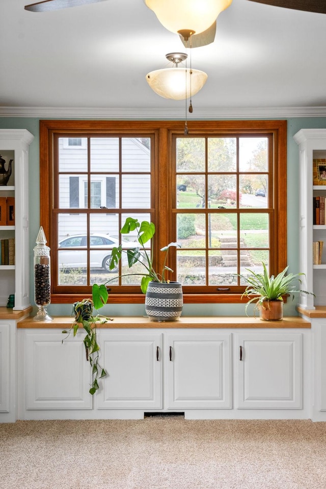 room details with carpet flooring and crown molding