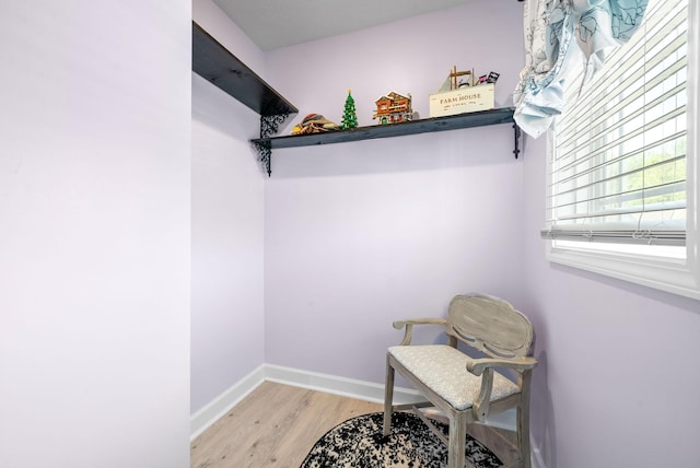 walk in closet with light hardwood / wood-style flooring