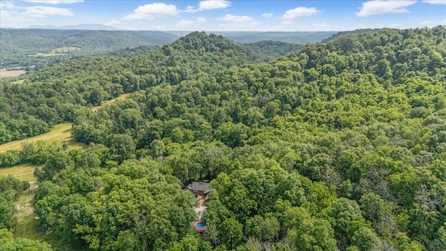 475 Spice Bush Dr, Liberty, TN 37095 - photo 41