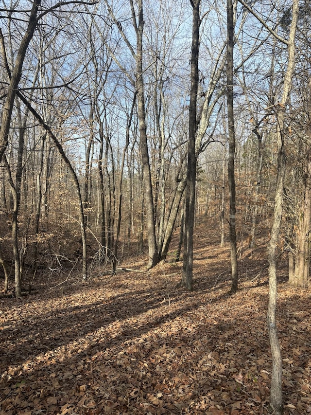 Listing photo 3 for 0 Firetower Rd, Camden TN 38320