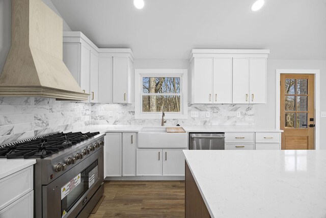 kitchen featuring a sink, backsplash, appliances with stainless steel finishes, and premium range hood