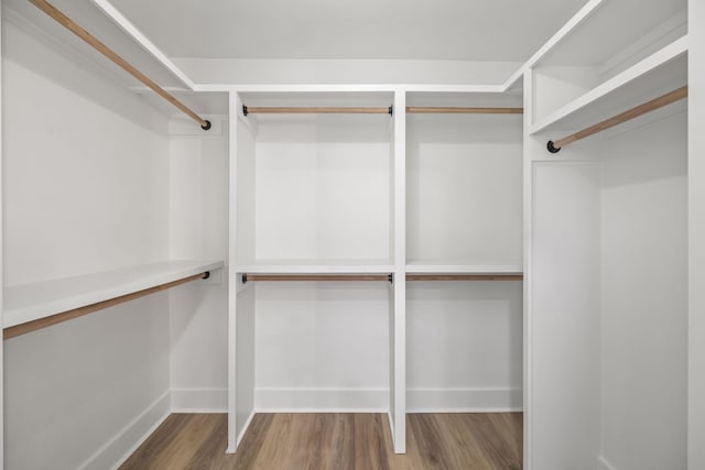 spacious closet featuring wood finished floors