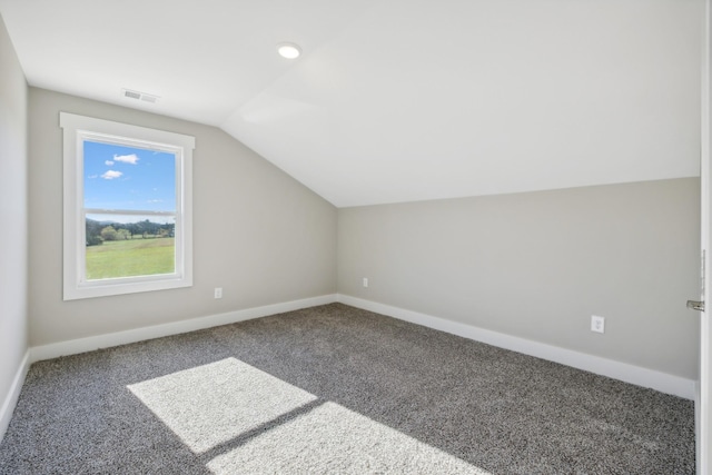 additional living space featuring carpet floors and vaulted ceiling