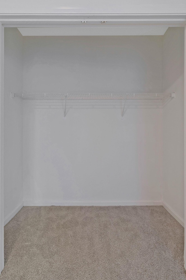 spacious closet with carpet floors