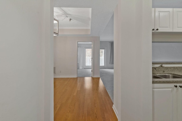 interior space with a textured ceiling, light wood-type flooring, and sink