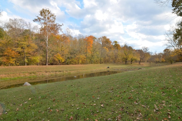 view of yard with a water view