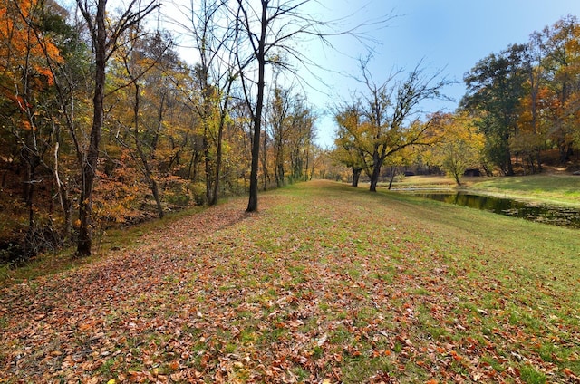 view of yard featuring a water view