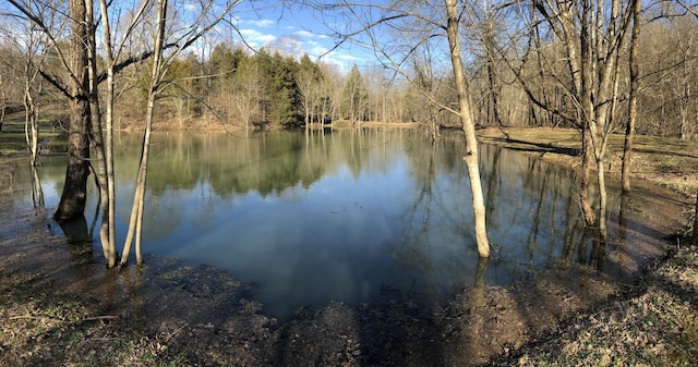 water view