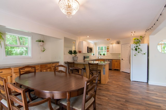 dining room featuring plenty of natural light, dark wood-type flooring, sink, and an inviting chandelier