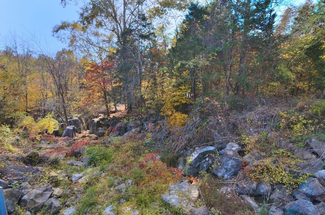 view of landscape