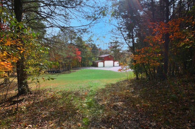 view of yard featuring a garage and an outdoor structure