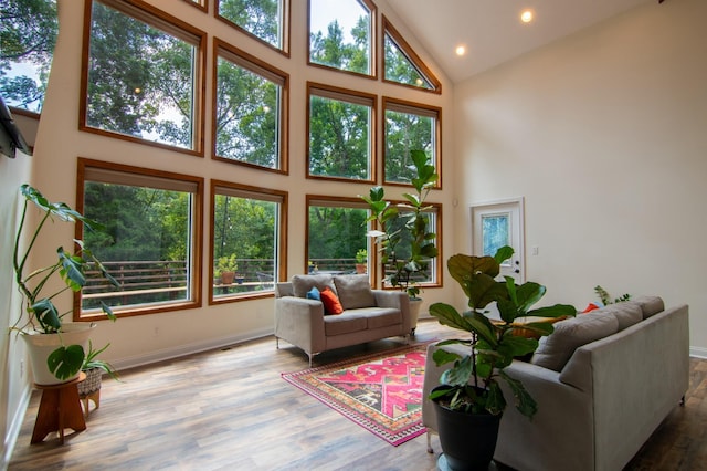 living room featuring high vaulted ceiling and hardwood / wood-style floors