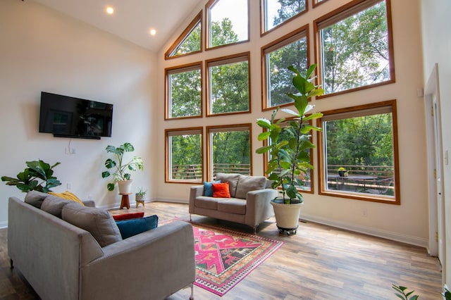 living room featuring hardwood / wood-style flooring and high vaulted ceiling