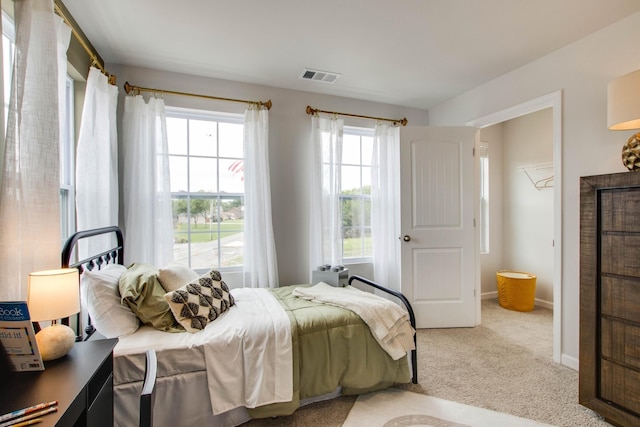 carpeted bedroom with a spacious closet