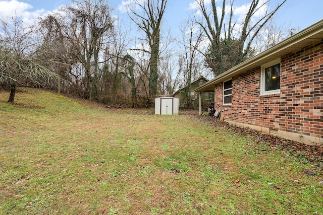 view of yard featuring a storage unit