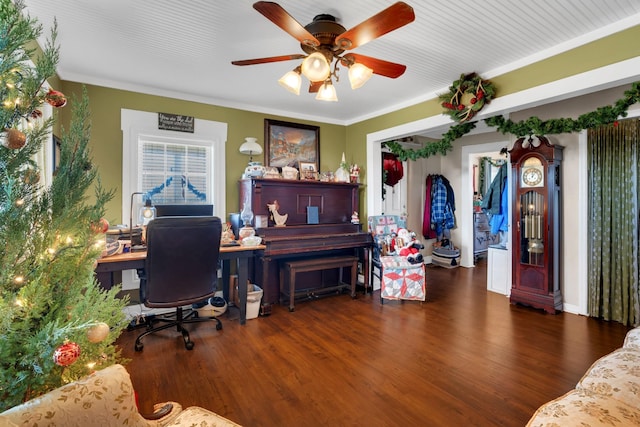 office featuring ceiling fan, dark hardwood / wood-style floors, and ornamental molding