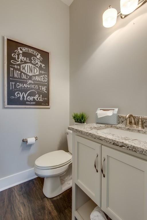 bathroom with vanity, wood-type flooring, and toilet